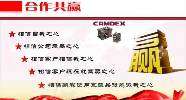 国产CAMDEX分割器